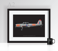 Thumbnail for BBMF de Havilland Canada Chipmunk T.10 - Poster