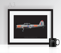 Thumbnail for BBMF de Havilland Canada Chipmunk T.10 - Poster