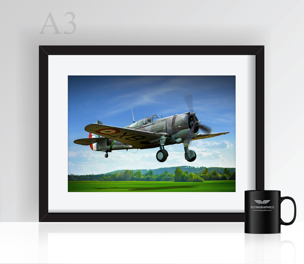 Curtiss Hawk - Poster