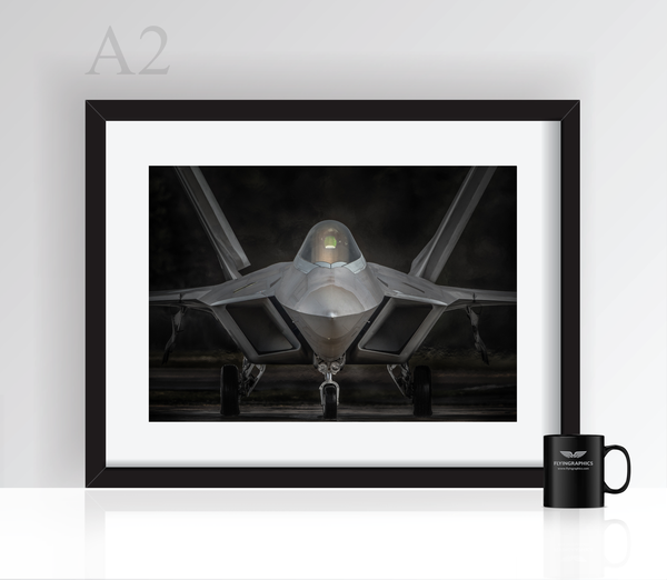 Raptor - Poster