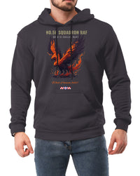 Thumbnail for No.56 SQN The Firebirds - Hoodie