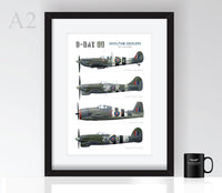 Thumbnail for D-Day Fighter Profiles - Poster