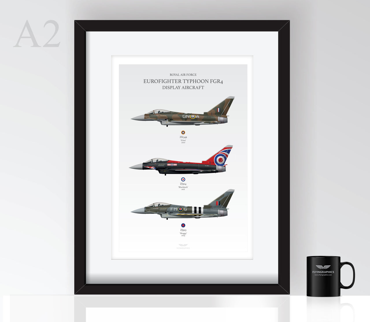Typhoon Display Profiles - Poster