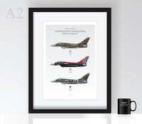Thumbnail for Typhoon Display Profiles - Poster