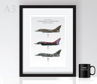 Thumbnail for Typhoon Display Profiles - Poster
