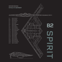 Thumbnail for B-2 Spirit