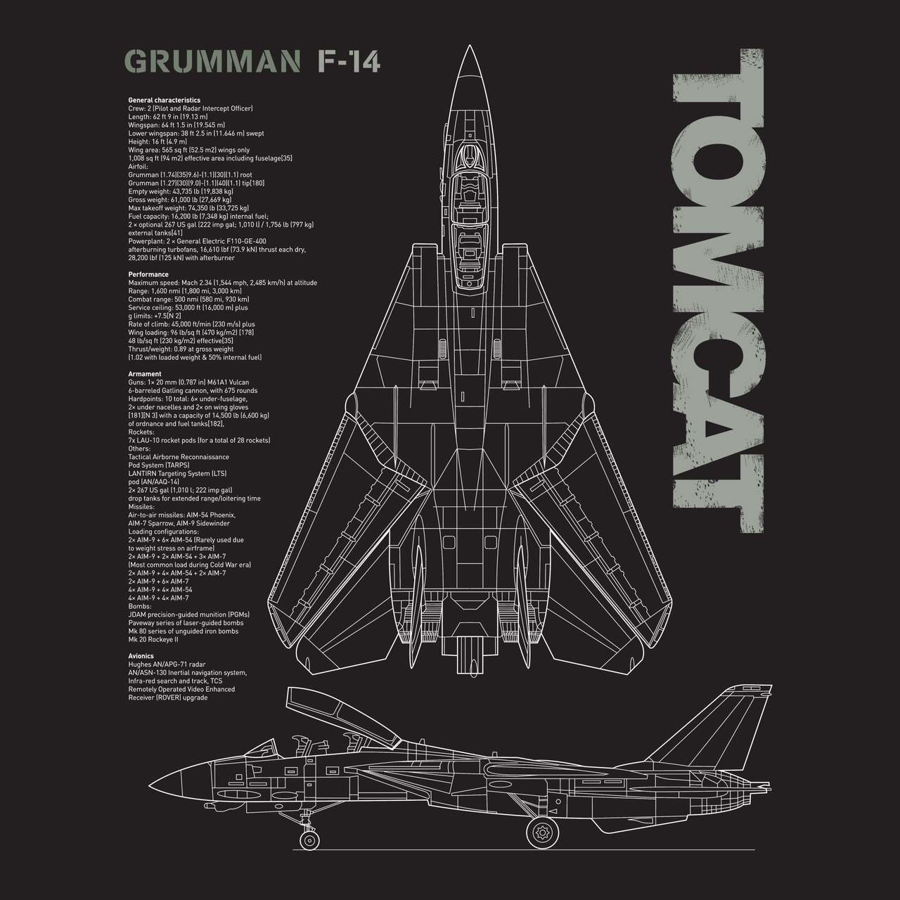 Grumman F-14 Tomcat