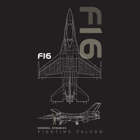 Thumbnail for F-16 Fighting Falcon