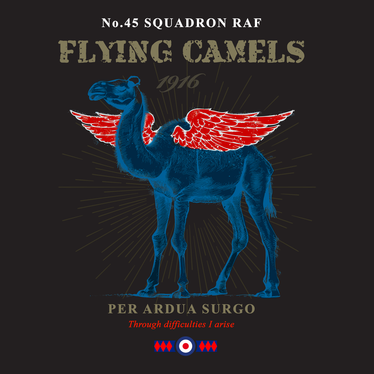 No.45 SQN Flying Camels