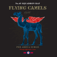 Thumbnail for No.45 SQN Flying Camels