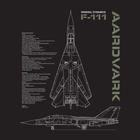 Thumbnail for F-111