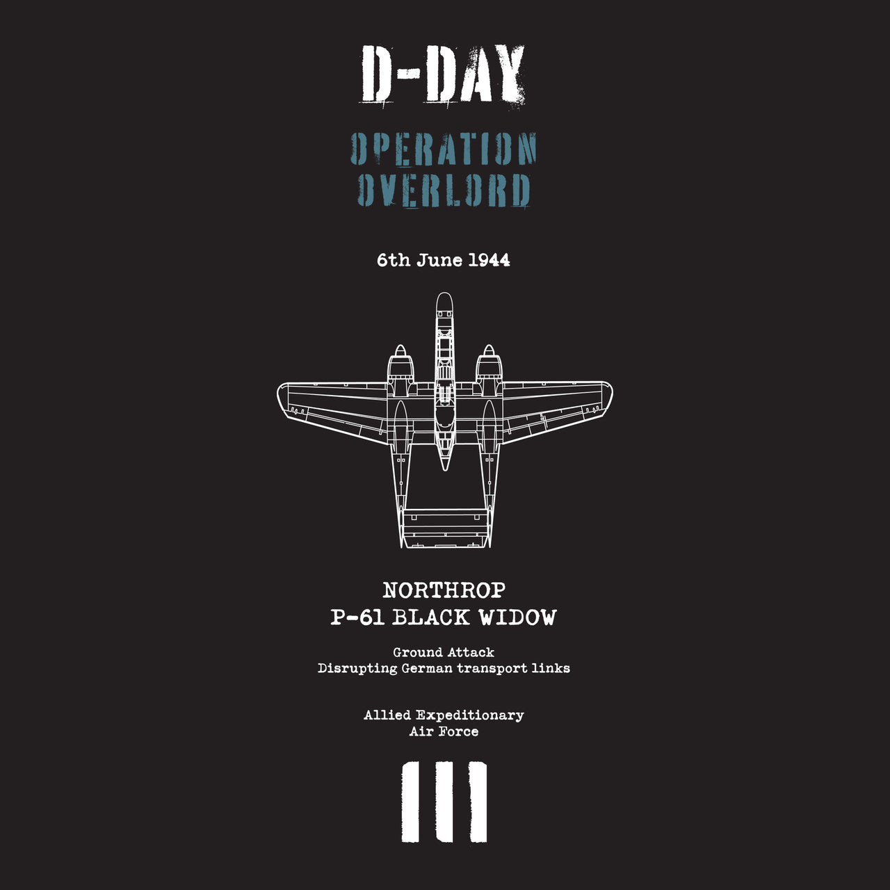 D-Day P-61 Black Widow