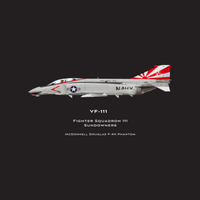 Thumbnail for F-4 Phantom VF-111