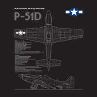 Thumbnail for P-51D Mustang