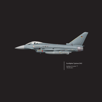 Thumbnail for Eurofighter Typhoon JG 71