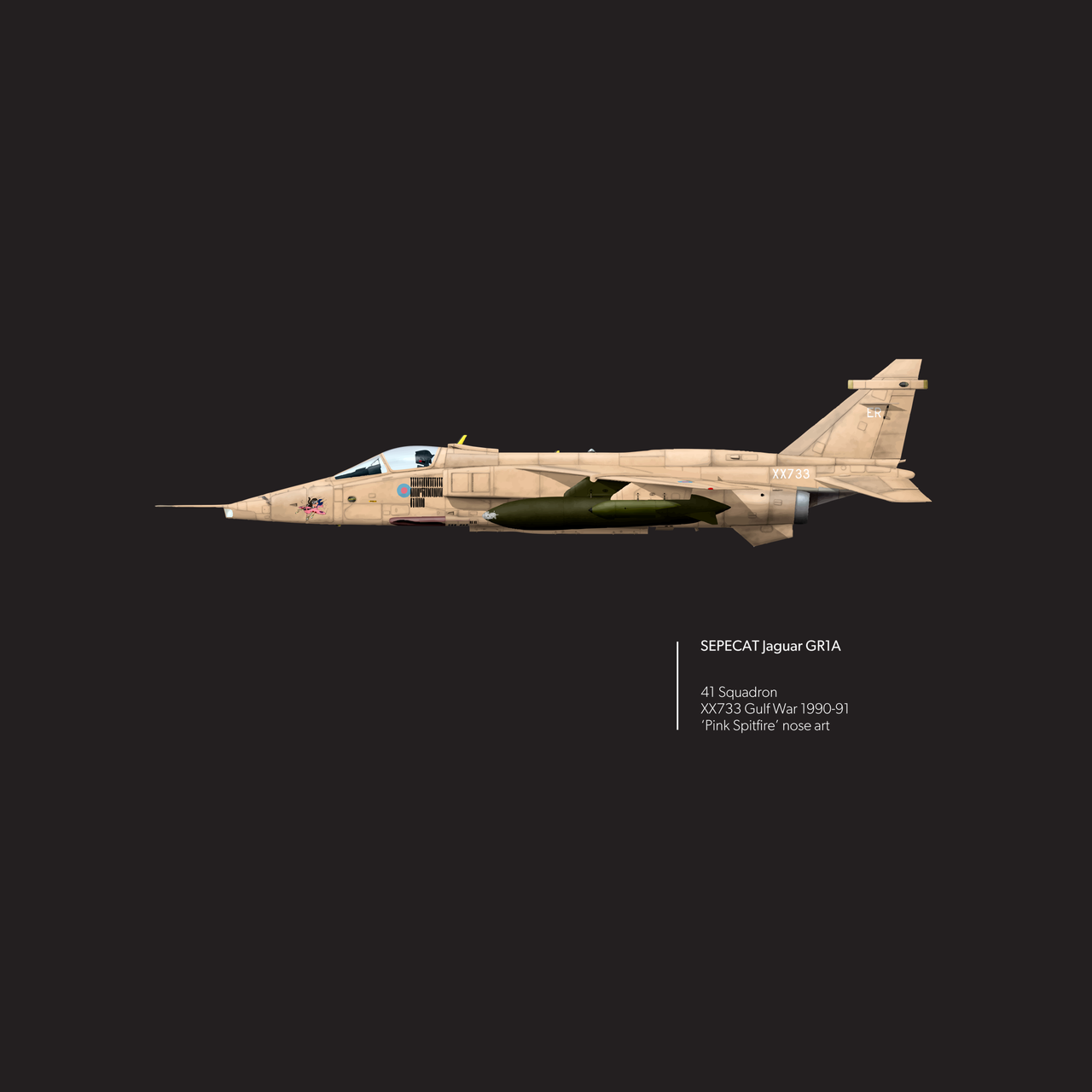Jaguar GR1