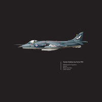 Thumbnail for Sea Harrier 899 NAS
