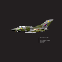Thumbnail for Tornado 31SQN