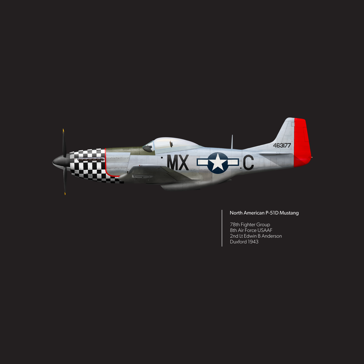 Mustang 78th FG