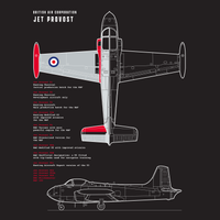 Thumbnail for Jet Provost