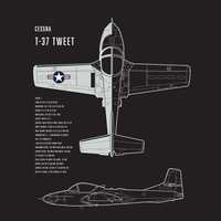 Thumbnail for T-37 Tweet
