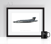 Thumbnail for Buccaneer 736 NAS - Poster