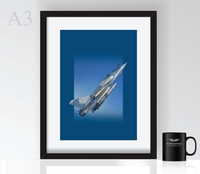 Thumbnail for Combat Ready - Poster