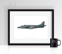 Thumbnail for Sea Harrier 899 NAS - Poster